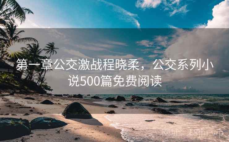 第一章公交激战程晓柔,公交系列小说500篇免费阅读 第一章公交激战程晓柔,公交系列小说500篇免费阅读