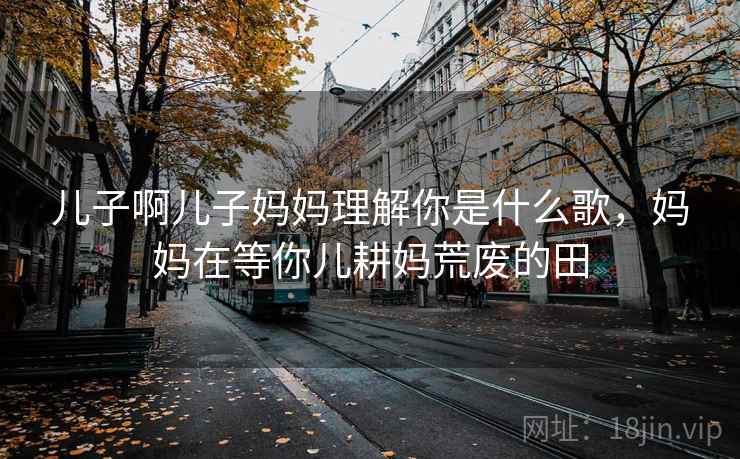 儿子啊儿子妈妈理解你是什么歌，妈妈在等你儿耕妈荒废的田
