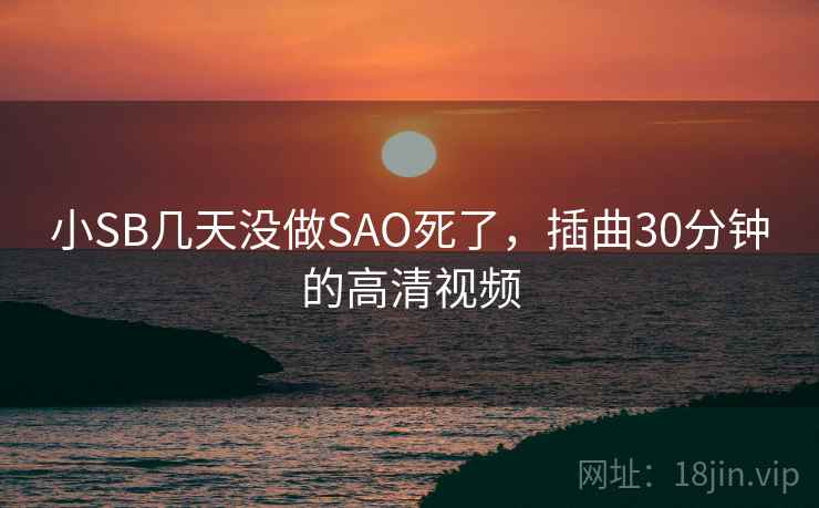 小SB几天没做SAO死了，插曲30分钟的高清视频