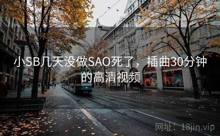 小SB几天没做SAO死了，插曲30分钟的高清视频