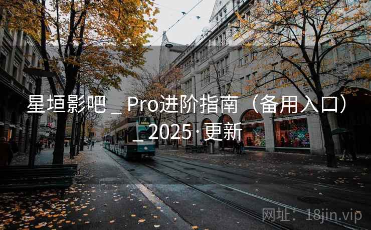 星垣影吧 _ Pro进阶指南（备用入口） _ 2025·更新